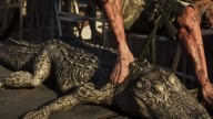 Alligator américain dans GTA 6