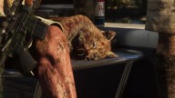 Lynx roux dans GTA 6