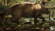 Puma / Panthère de Floride dans GTA 6
