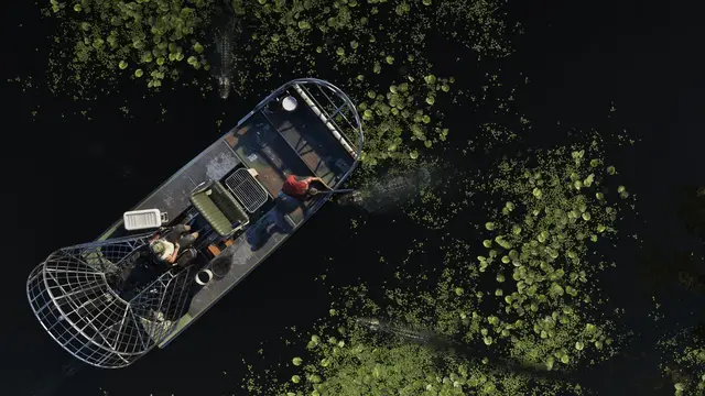 Grassrivers — rivière mangrove : image officielle de GTA 6 publiée par Rockstar Games