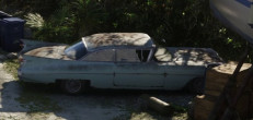 Albany Manana في GTA 6
